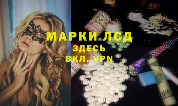 винт Алзамай