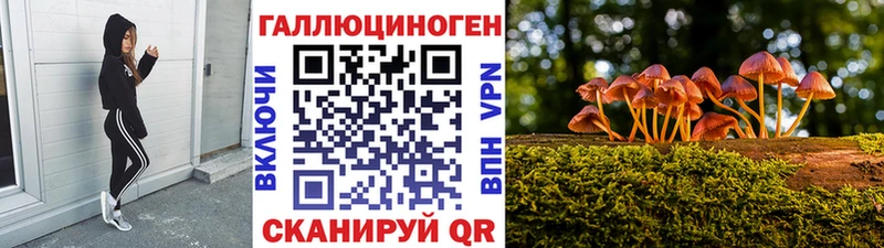 Псилоцибиновые грибы ЛСД  купить закладку  OMG рабочий сайт  Александровское 